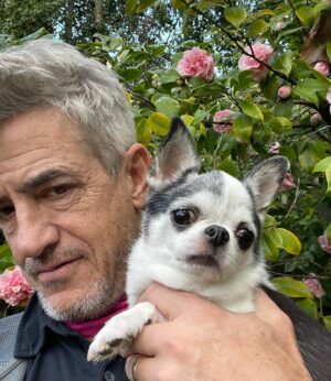 Dermot Mulroney Instagram - 🌸 last week we ALMOST lost Posie but she pulled through!! 🌸👑 talk about tough ! 🙏👊 #itainteasybeingqueen 🐶👑 #chihuahua