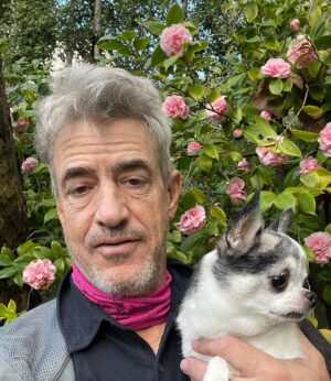 Dermot Mulroney Instagram - 🌸 last week we ALMOST lost Posie but she pulled through!! 🌸👑 talk about tough ! 🙏👊 #itainteasybeingqueen 🐶👑 #chihuahua