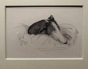 Derren Brown Instagram - A sketch by Queen Victoria of her greyhound Eos. Isn’t that just the best thing? Today I was at a lovely exhibition of dog paintings (of, not by) at the @wallacecollection_events in London.