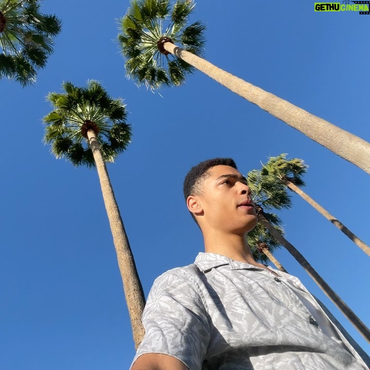 Désiré Mia - 10.1K Likes - Grand Theft Arizona