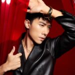Desmond Tan