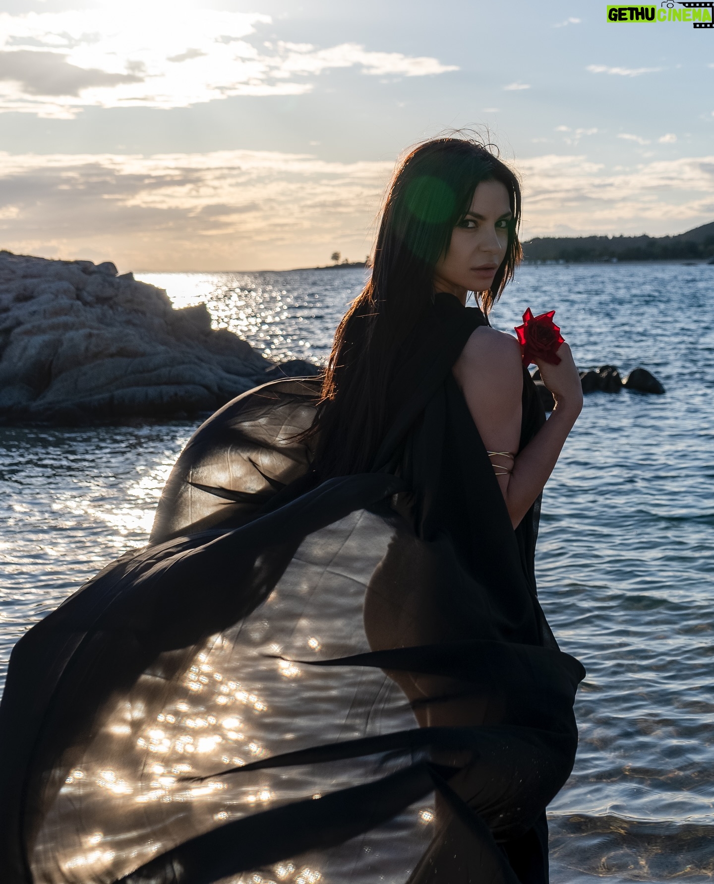 Dessy Slavova - 3 Likes - 🌺