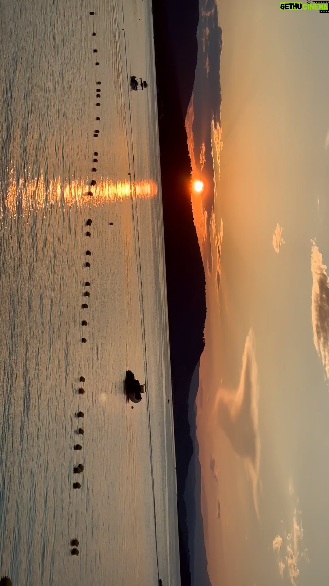 Dessy Slavova - 3 Likes - 🌅