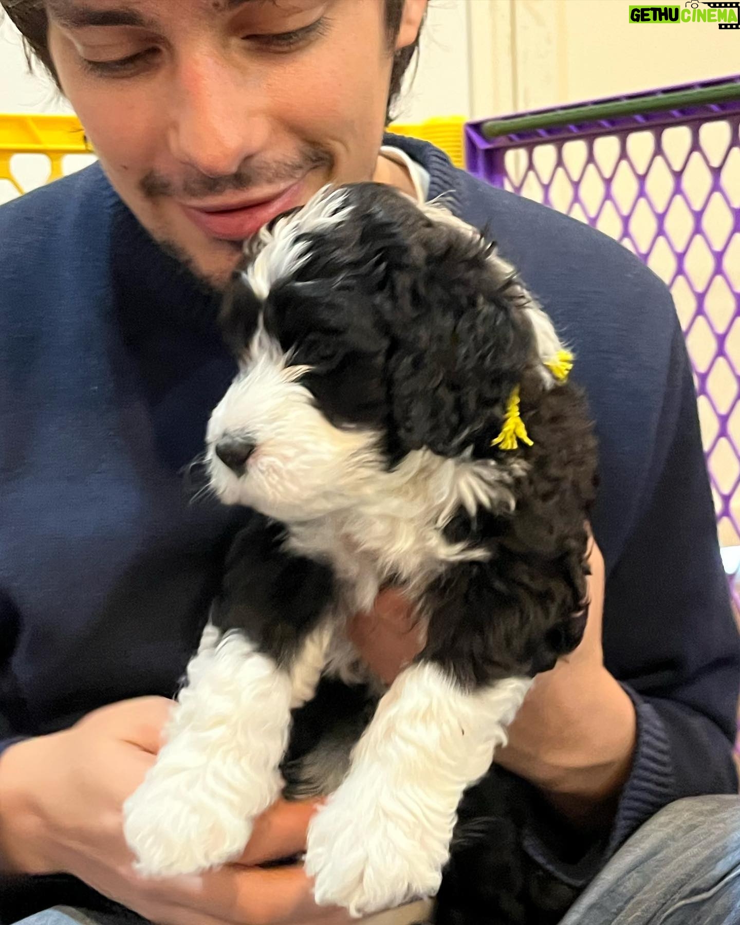 Devon Bostick - 83K Likes - a dump