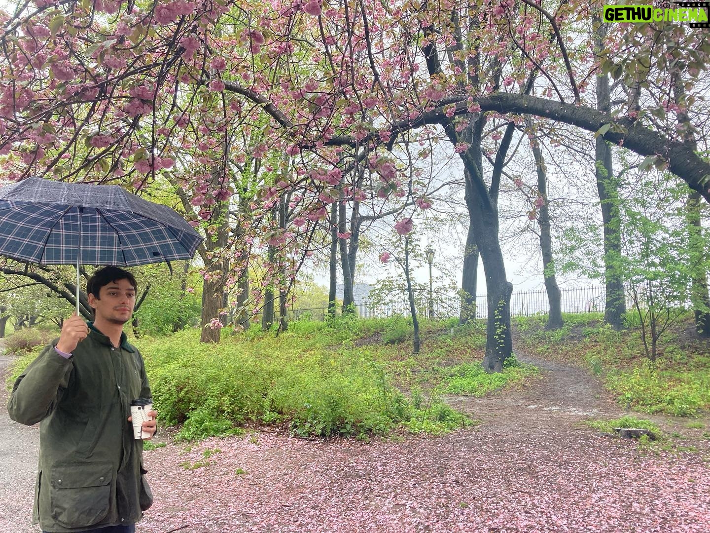 Devon Bostick - 145.9K Likes - Sunday in the park with pictures from my enemy @dylangelula