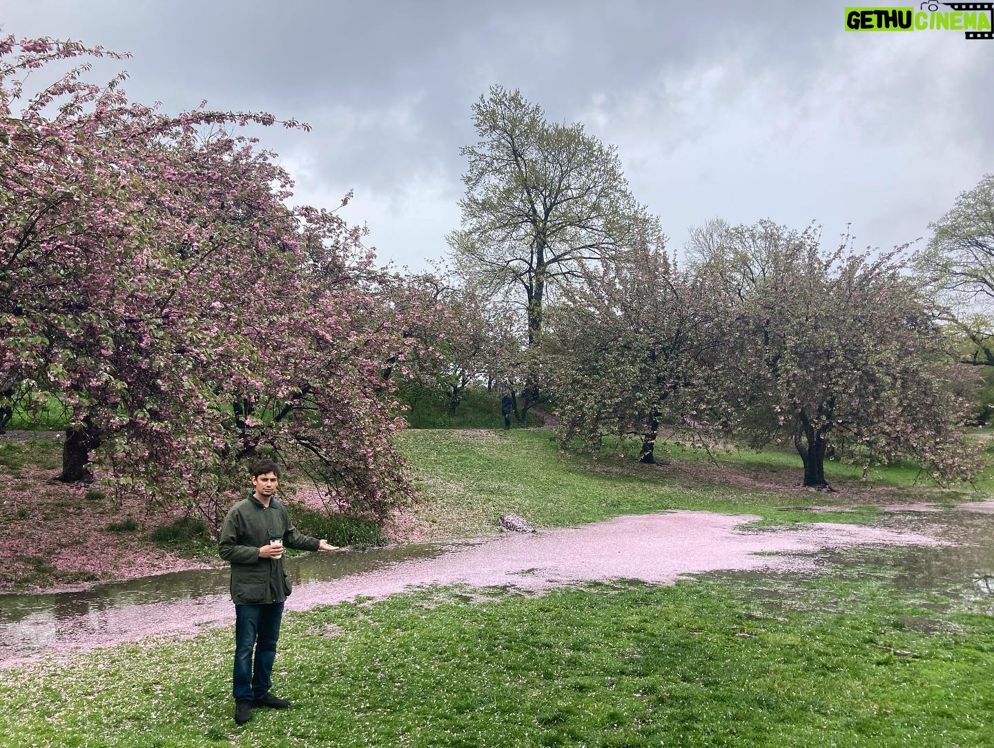 Devon Bostick - 145.9K Likes - Sunday in the park with pictures from my enemy @dylangelula