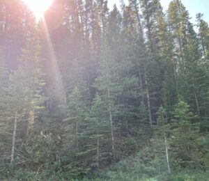 Devon Bostick Instagram - it’s called banff