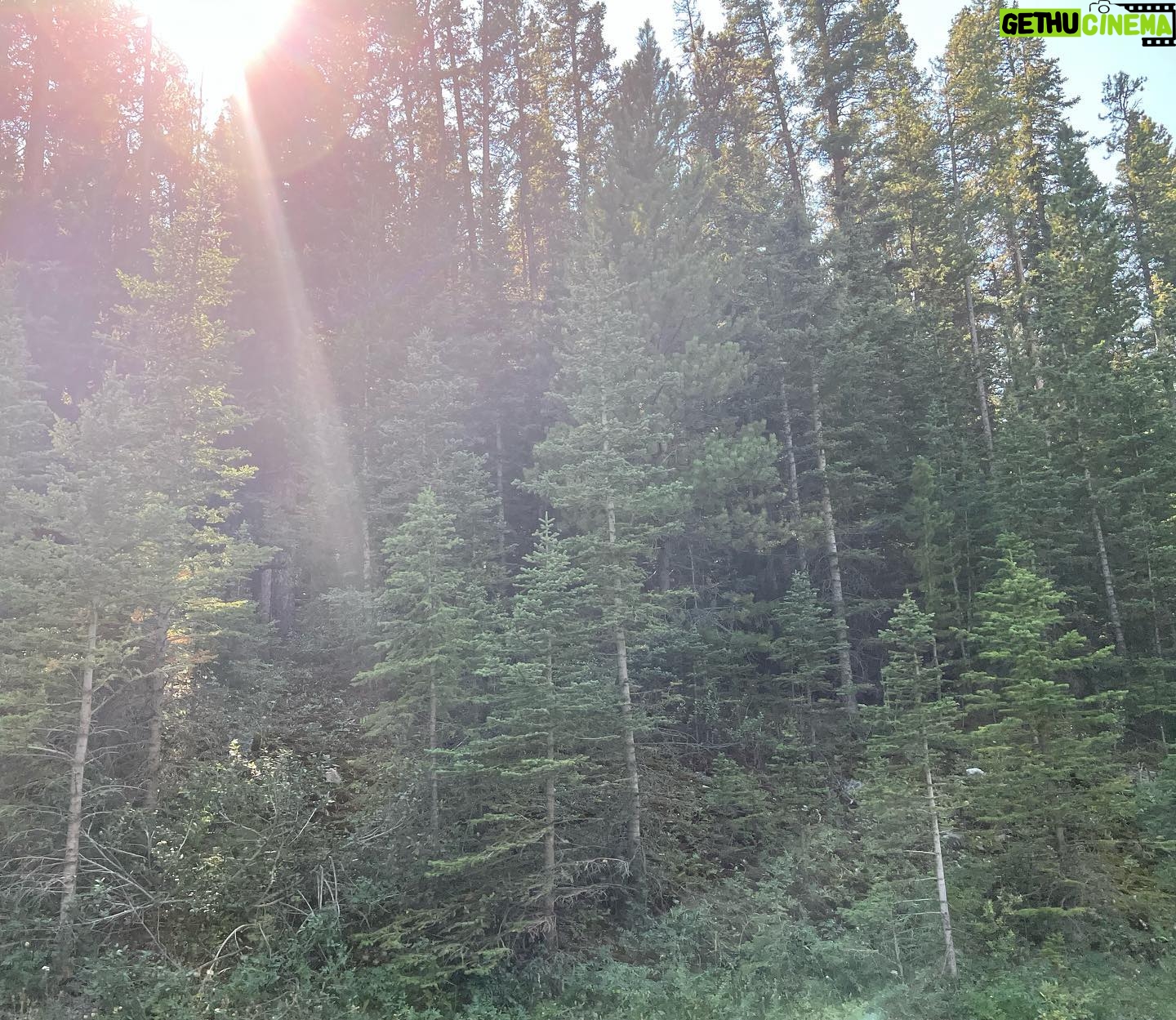 Devon Bostick - 132.9K Likes - itās called banff