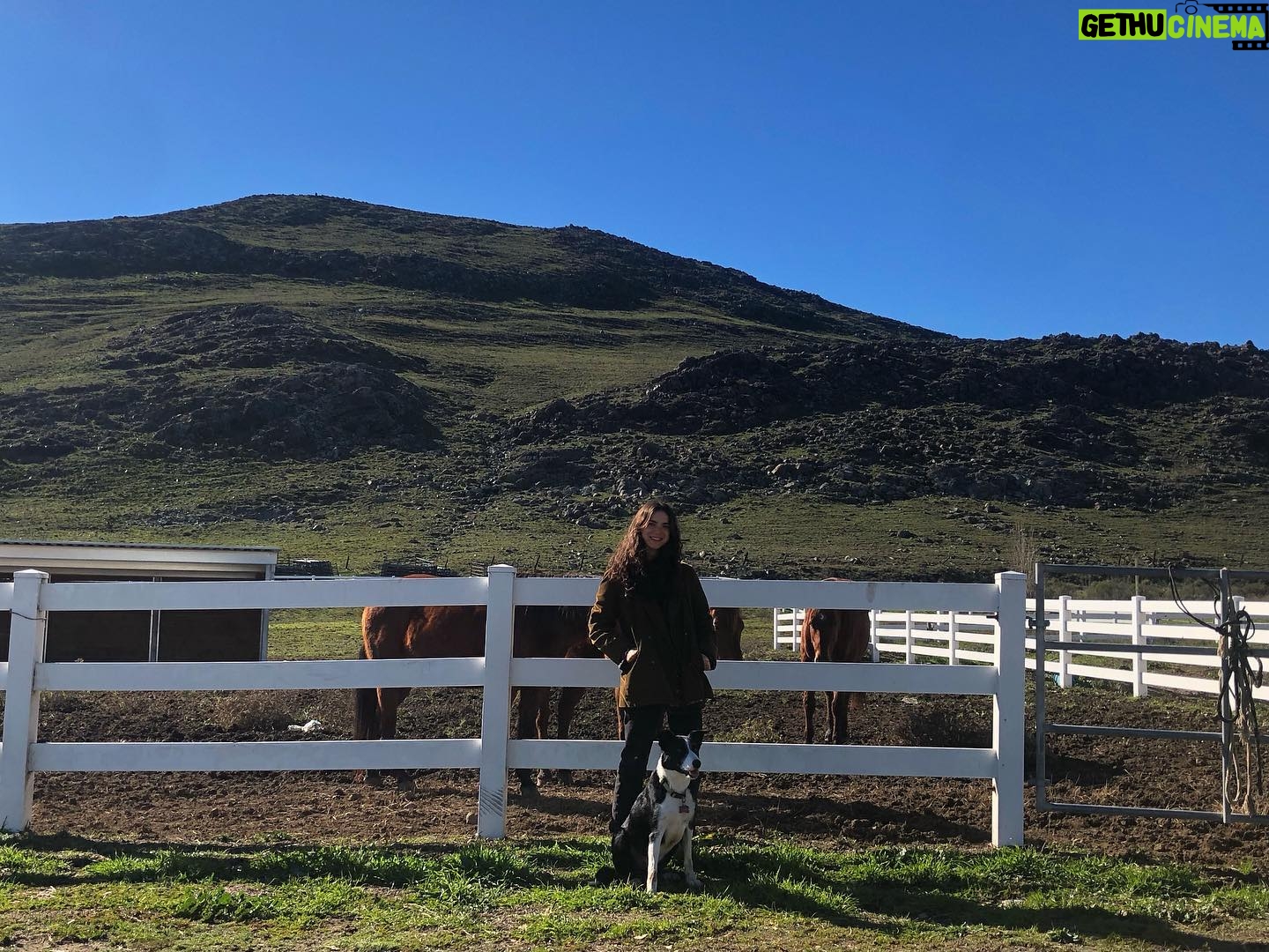 Devon Bostick - 68.1K Likes - This is @dylangelula - she who wonāt stop buying farms to turn them into her own āpersonal golf courseā - she must be stopped, please call her reps