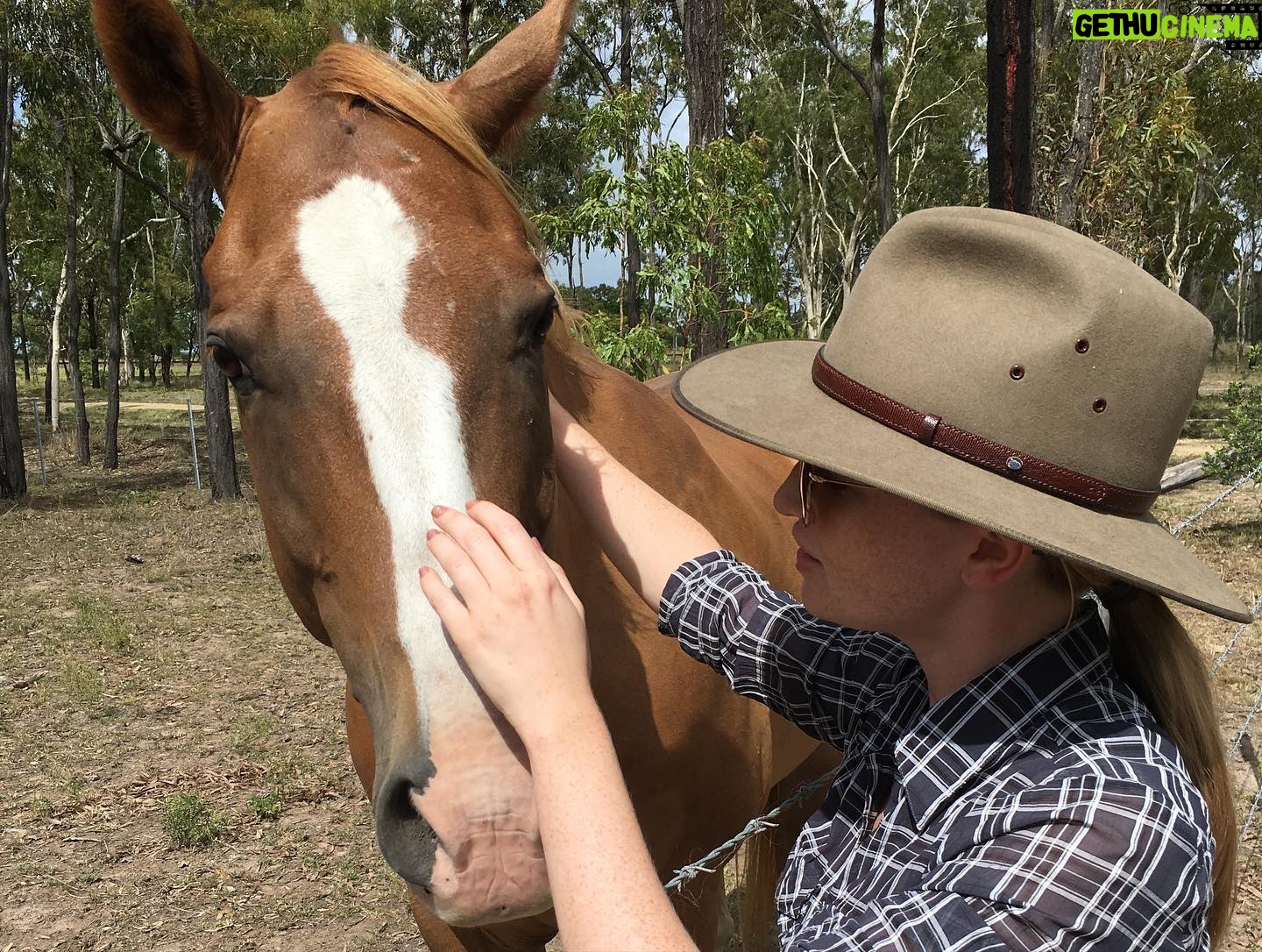 Diana Hopper - 1.3K Likes - It’s not a secret that Australia and it’s wildlife hold a special place in my heart. ❤️ Please visit the link in my bio or any of the pages tagged in this photo to donate today. Anything (and I mean anything) helps. 🇦🇺❤️🇦🇺