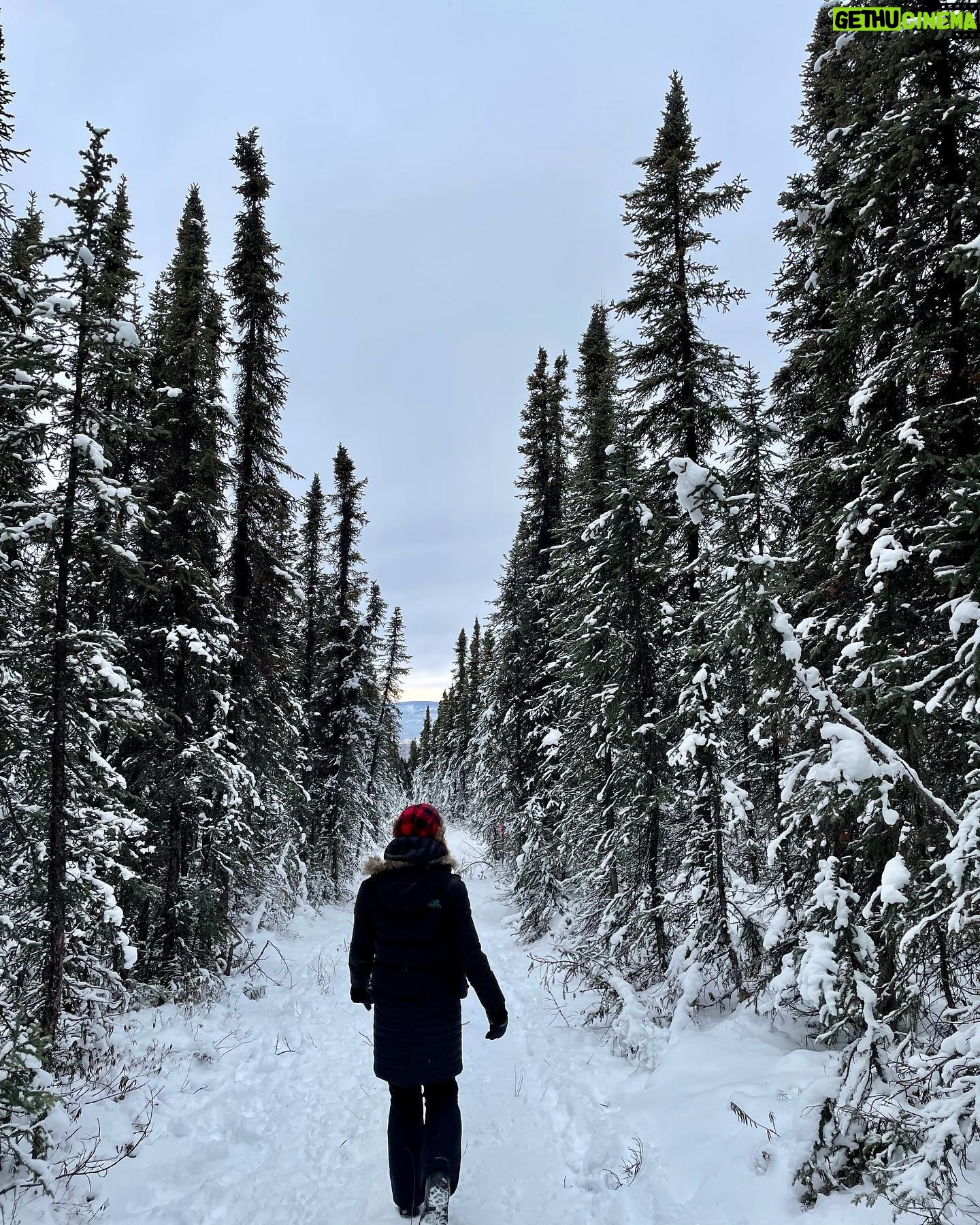 Diana Hopper - 1.4K Likes - To face unafraid, the plans that we’ve made, walkin’ in a winter wonderland ❄️