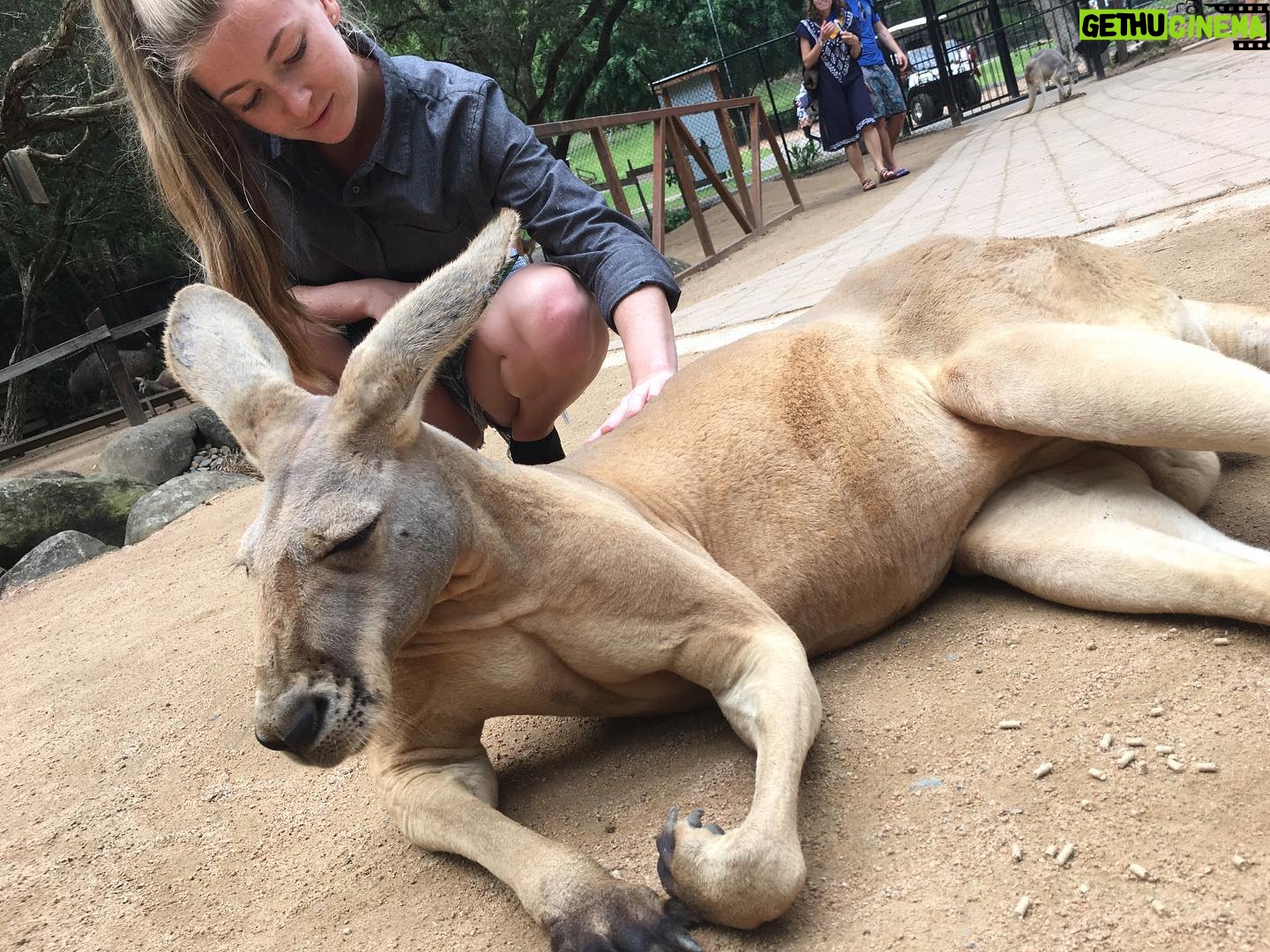 Diana Hopper - 1.3K Likes - It’s not a secret that Australia and it’s wildlife hold a special place in my heart. ❤️ Please visit the link in my bio or any of the pages tagged in this photo to donate today. Anything (and I mean anything) helps. 🇦🇺❤️🇦🇺