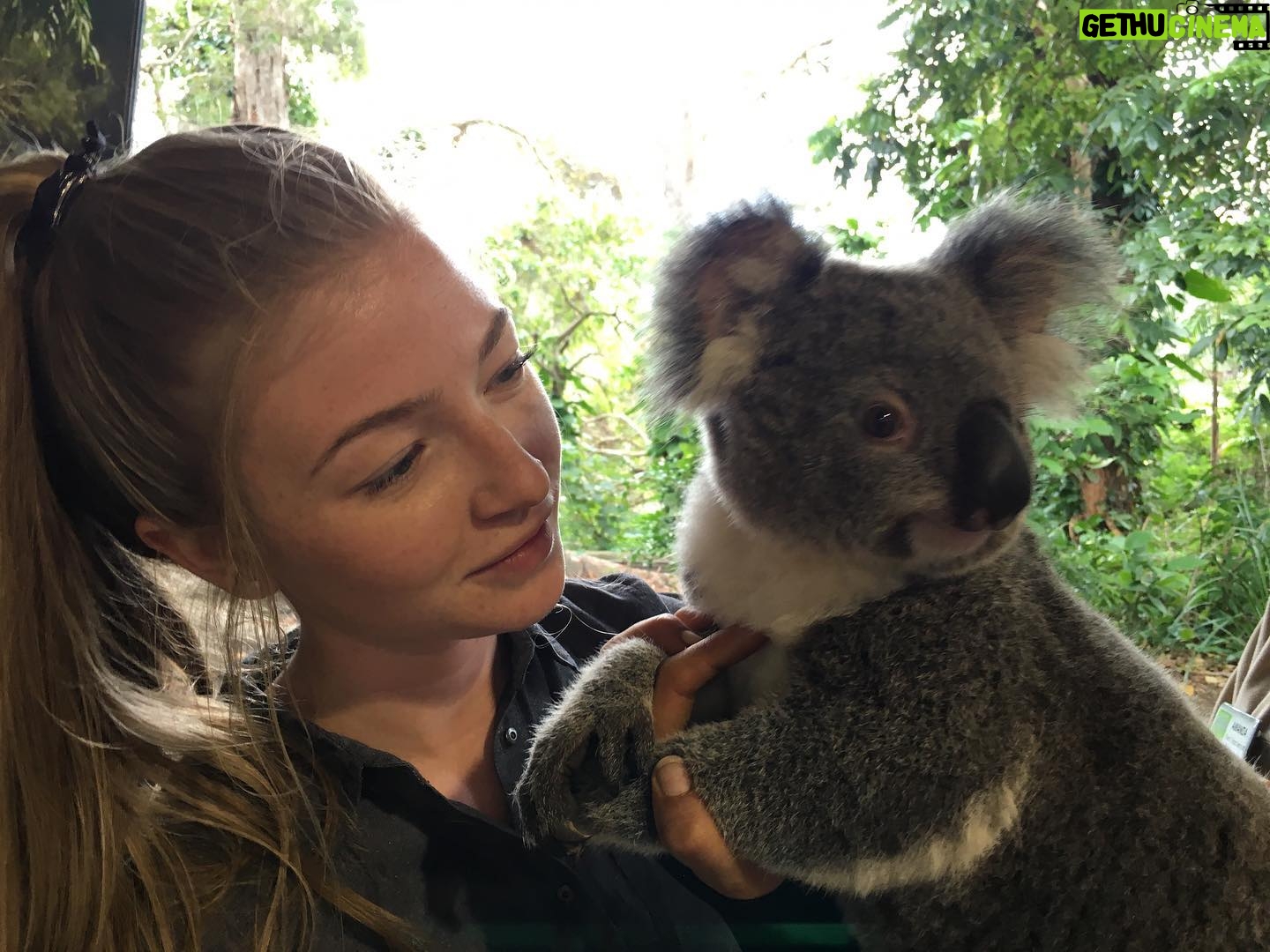 Diana Hopper - 1.3K Likes - It’s not a secret that Australia and it’s wildlife hold a special place in my heart. ❤️ Please visit the link in my bio or any of the pages tagged in this photo to donate today. Anything (and I mean anything) helps. 🇦🇺❤️🇦🇺
