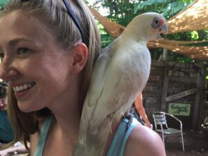 Diana Hopper Instagram - It’s not a secret that Australia and it’s wildlife hold a special place in my heart. ❤️ Please visit the link in my bio or any of the pages tagged in this photo to donate today. Anything (and I mean anything) helps. 🇦🇺❤️🇦🇺