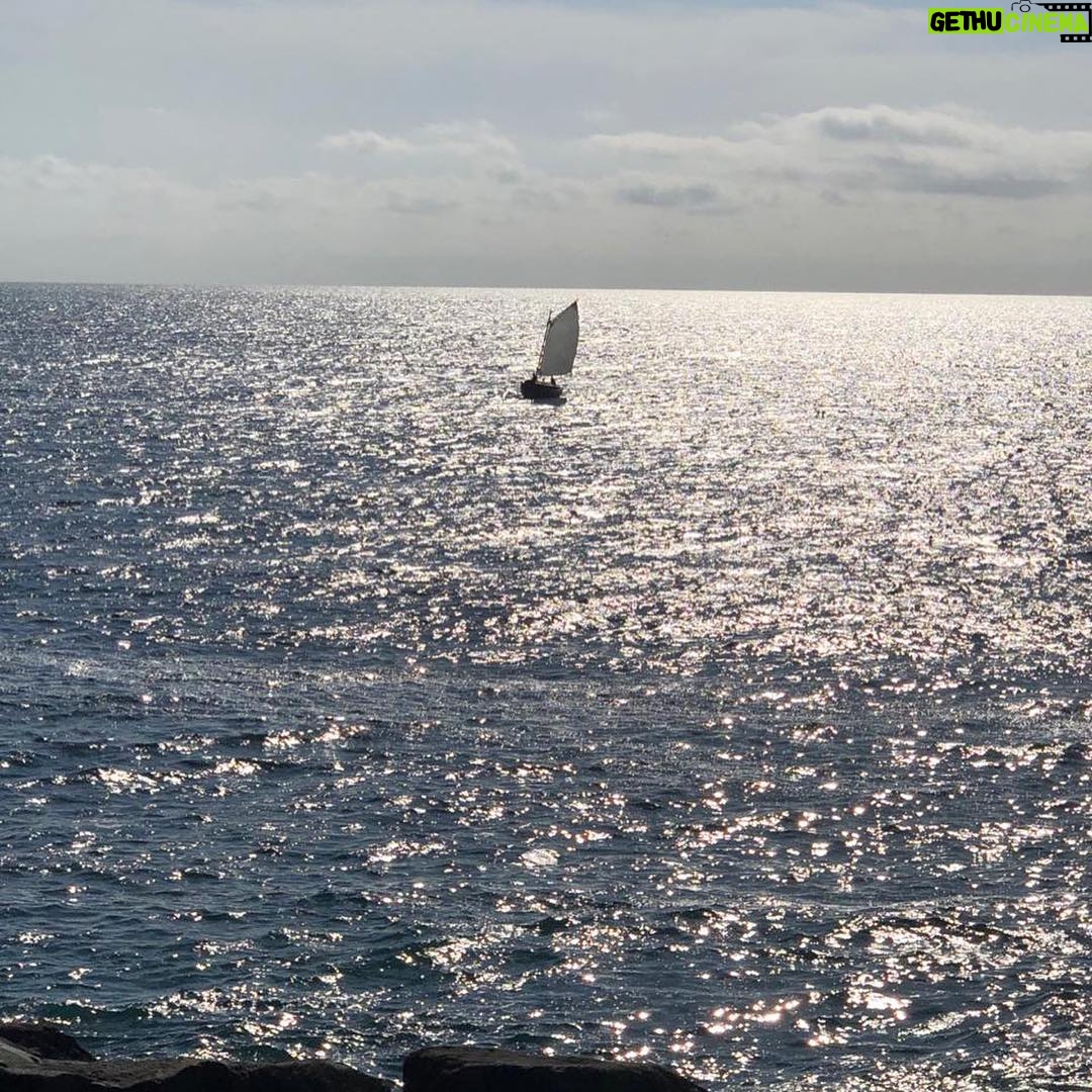 Diego Muñoz - 1.3K Likes - Navegando en la Tregua. Y el océano, pacífico. Tremendas fotos @franciscolevine
#velerachilota #velerosdemadera #woodensailboat #maestrosderibera #patrimoniochileno