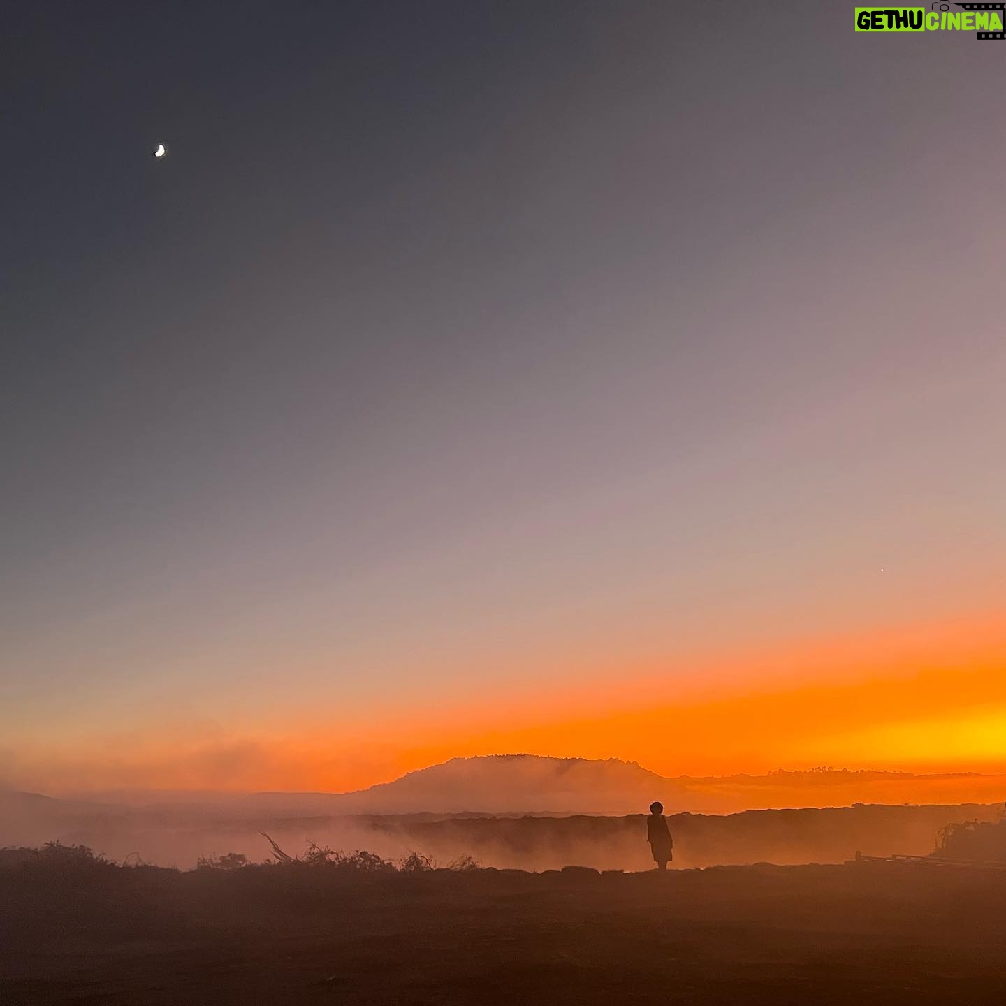 Diego Muñoz - 697 Likes - Filmando esta maravilla junto a un equipo de excelencia. Con la luna, antes que salga el sol. Y al fondo, estoico, (con cero grados) nuestro querido y respetado Maestro, Alfredo Castro.