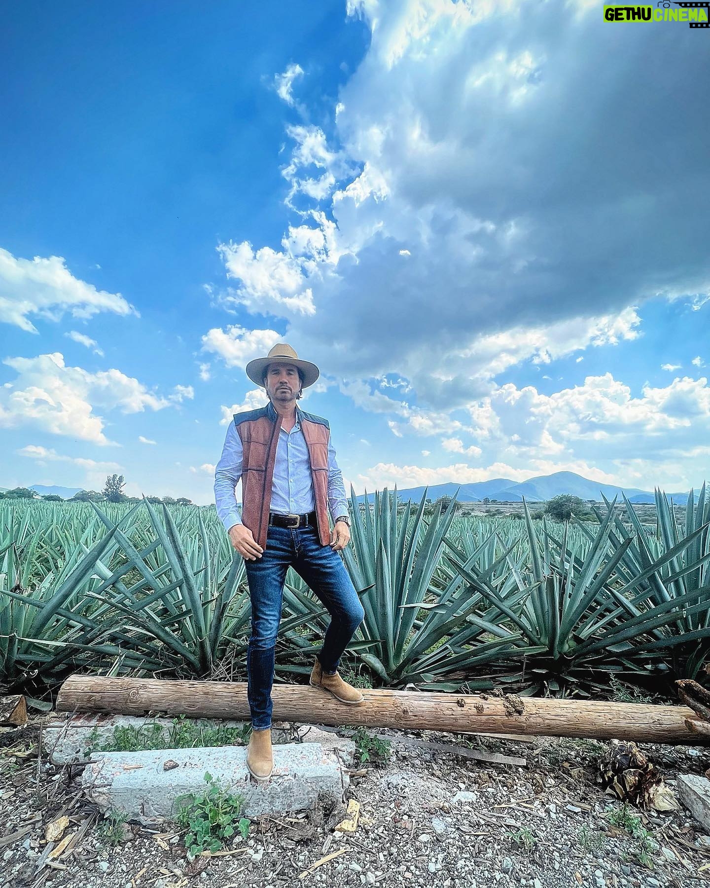 Diego Olivera - 2.7K Likes - En México el maguey posee un gran simbolismo debido a que combina tradición y cultura, mismas que le han otorgado un valor patrimonial muy importante. El agave también conocido como maguey es una planta de origen mexicano, tomando el vocablo griego Agavos, que significa “ilustre o admirable”. Es para mi un honor estar frente a un símbolo relevante en la cultura de Mexico 🇲🇽 Mis respetos 💪🏼👍👏👏👏♥️ Además frente a una especie natural que le ofrece a la humanidad tantas variantes de consumo. 👍😉