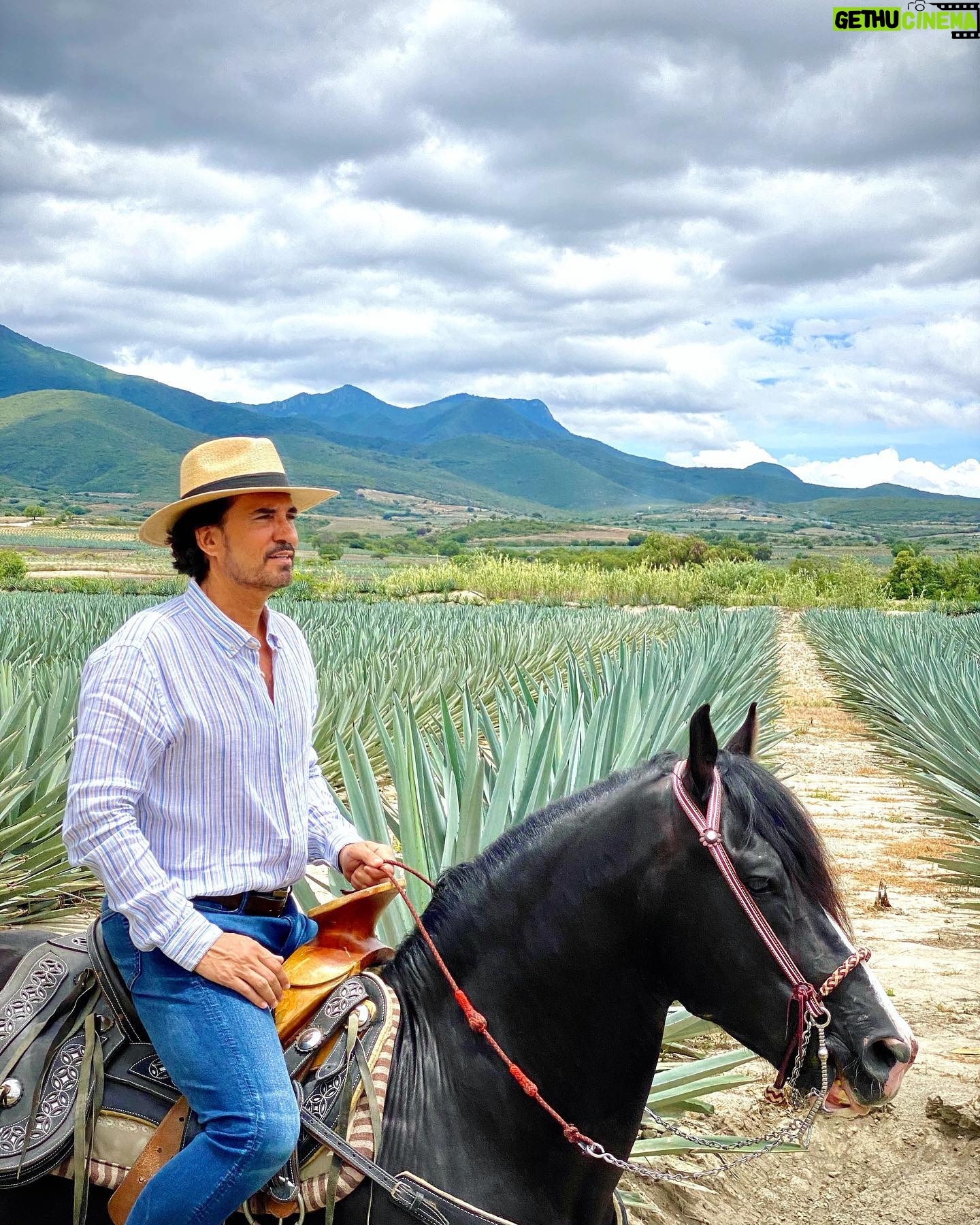 Diego Olivera - 2.9K Likes - Arcángel es bello pero además un placer pasear con él. @nadiecomotu.tv 🎬📽️ 🎥 la producción le dio a #chema un socio de vida noble y fiel. 👍👏👏👏