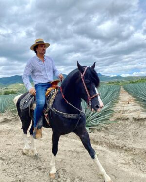 Diego Olivera Instagram - Arcángel es bello pero además un placer pasear con él. @nadiecomotu.tv 🎬📽️ 🎥 la producción le dio a #chema un socio de vida noble y fiel. 👍👏👏👏
