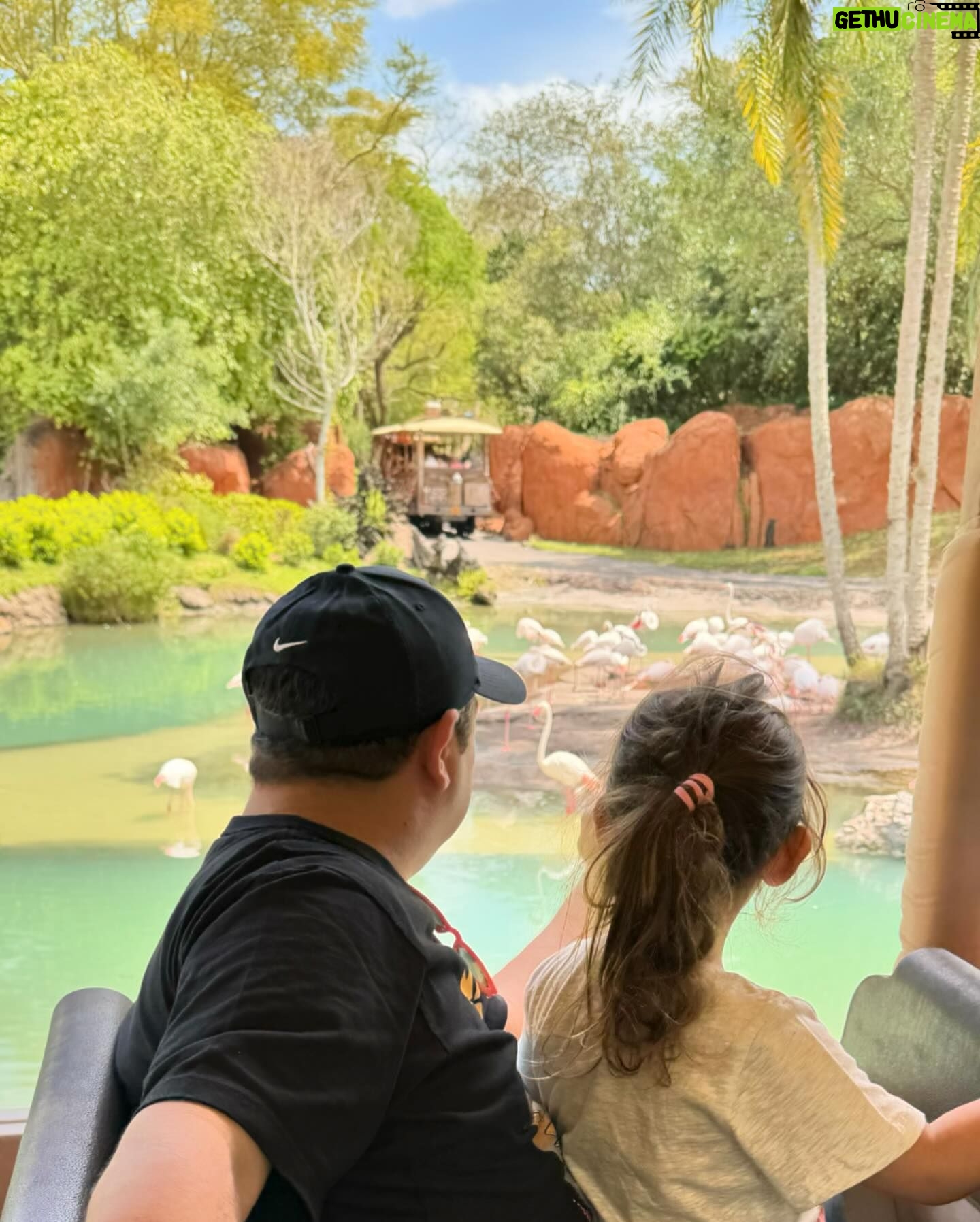 Diego Topa - 22K Likes - Magia, amor, la emoción a flor de piel siempre en @disneyworld.latino ,son momentos que quedan para siempre guardados en el corazón.
De chiquito soñaba siempre con poder conocer Disney World. La vida me regaló, no solo poder conocerlo, sino que trabajar tantos años para una empresa que amo profundamente y me dio la posibilidad de conocer a tantas familias de Latinoamérica.
En los parques pude conocer a muchas familias que venían a pedirme una foto y la frase que siempre me dicen es "fuiste mi infancia" les juro que cada vez que me la dicen. Me llega a lo más profundo de mi corazón. Y siempre estaré agradecido a todos por acompañarme.
Acá en las fotos 📸Quiero compartirles un poco de lo espectacular que fue la visita a los parques.
1# Mitai abrazando a su adorada Minnie 🩷
2# con @soymuni y una Minnie más princesa para la foto.
3# Acá con mi querida Minnie dejando una foto para la posteridad 💫
4# con @soymuni y Mickey que nos recibió siempre con la mejor de las ondas ✨ recordando muchos momentos vividos.
5# luego Mickey se cambió para tomarse una foto con @hugorodriguezok y conmigo, muy ondero 🩵
6# acá con @soucoqueiro un amigo increíble que me hace reír mucho y siempre alerta para sorprenderme.
7# aquí todos juntos en una fotaza en Hollywood Studios.
8# con Muni en la tierra de Avatar.
9# acá con Miti viendo muchos animales en el Safari.
10# acá en la Torre del Terror 😳. Si soy fan! Jajaja en las historias pongo el video.
Gracias infinitas a @disneyworld.latino por regalarnos momentos inolvidables en familia ❤️💙💛💚🧡🩷🩵