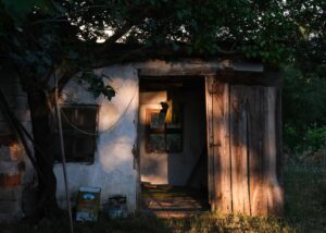 Dilek Yorulmaz Instagram - Orada bir köy var uzakta!
.
.
.
#oradabirköyvaruzakta #nature #villagelife #photography #photooftheday #köy #life #earlymorning #