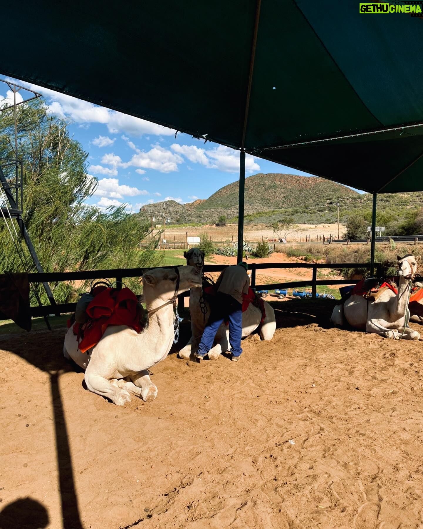 Dillon Windvogel - 13.1K Likes - Vol 15: Oudtshoorn 🏜️📍
#DillonTravels #AllglorytoGod