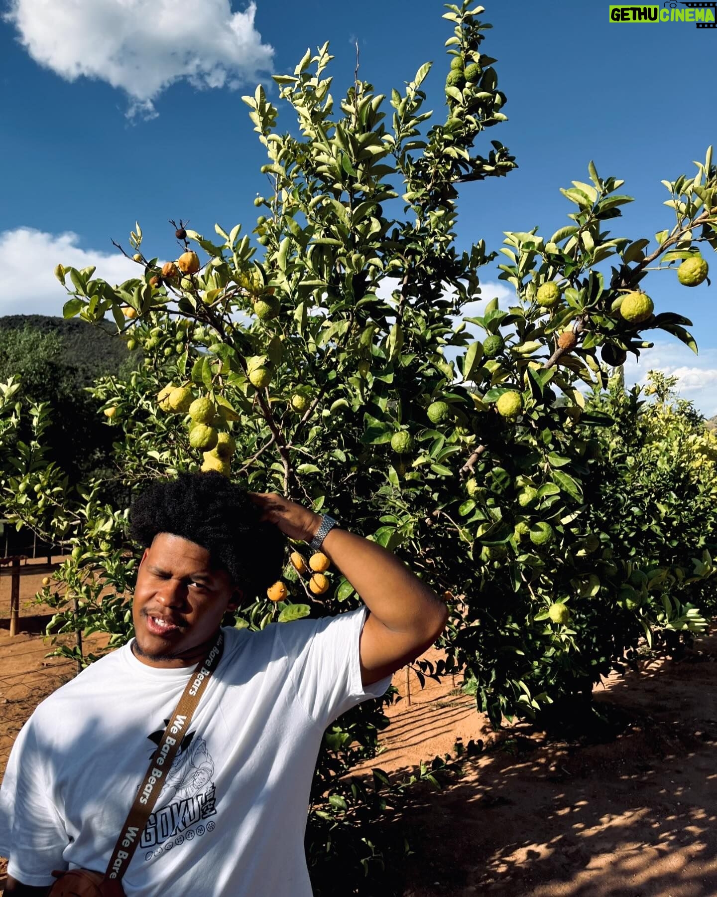 Dillon Windvogel - 13.1K Likes - Vol 15: Oudtshoorn 🏜️📍
#DillonTravels #AllglorytoGod