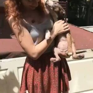 Dilşah Demir Instagram - YUVA ARIYORUZ.🍄🌼🏵️🌻💐
2 tane dişi yavru, iki buçuk aylık sokak köpekleri. Şu an üç buçuk kilolar. Mahallemizin parkına kutuyla getirip atmışlar. @sozmenezgi 15 gündür ilgileniyor sağ olsun. 💐 İç dış parazit tedavileri yapılmış.
İletişim için: 05347759410