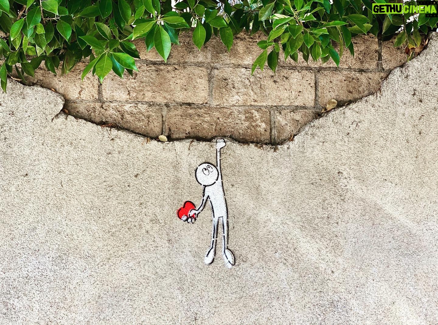 Dilshad Vadsaria - 315 Likes - L’amour...le donner ou le reprendre? ❣️