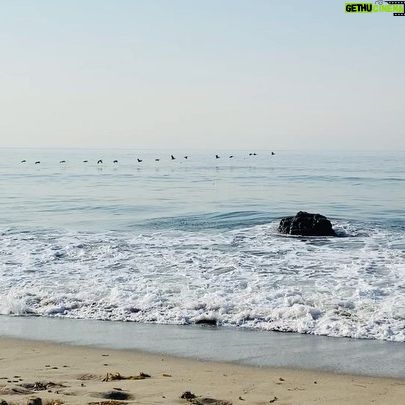Dilshad Vadsaria - 170 Likes - For anyone having a hard time right now, the ocean always calms and centers me. Know as alone as you may feel you aren’t. Love always surrounds you. I hope you’ll find a slice of peace with this video. ❤️ #soundon