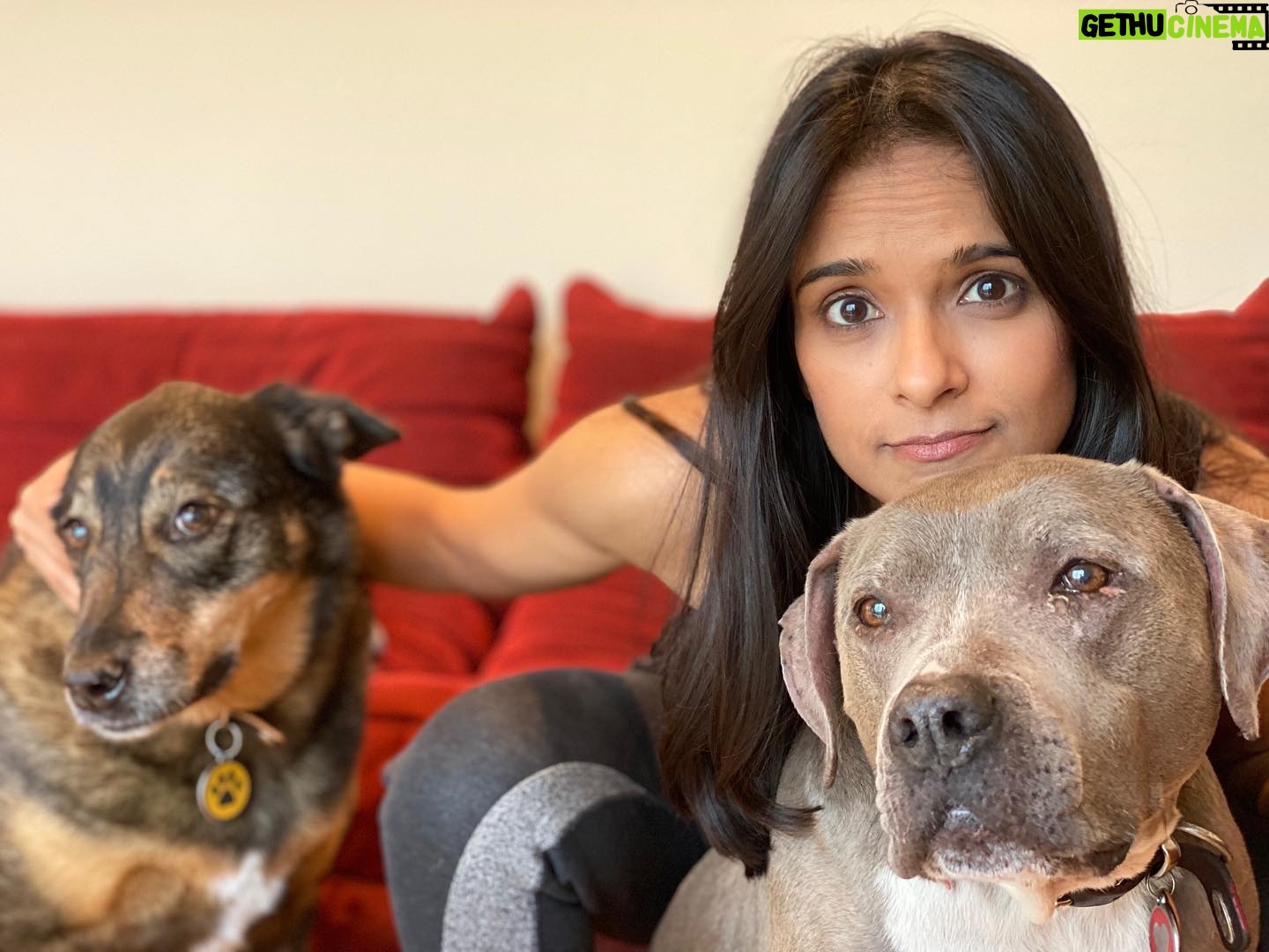 Dilshad Vadsaria - 1.4K Likes - Priorities. #stayhome #socialdistancing ā¤ļø
Letās all look out for our neighbors who may be elderly, ill with pre-existing conditions or have small babies. These are the people who are most vulnerable. Stay home so as not to get them sick. ā¤ļø
If they need it, offer to go grocery shopping for them. (Leave it at their door to limit exposure). ā¤ļø
We live in times where many live away from families. Letās all look out for each other. ā¤ļø
Take time to get to know yourselves & your families again. Read, meditate, listen to music, write. Weāre always running around doing the most important things š¤.
ā¤ļø
Letās all get through this together. Sending you all love, love, love.
