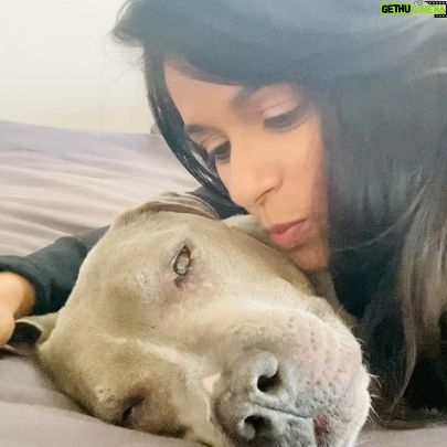Dilshad Vadsaria - 727 Likes - All she wants to do is take a nap.