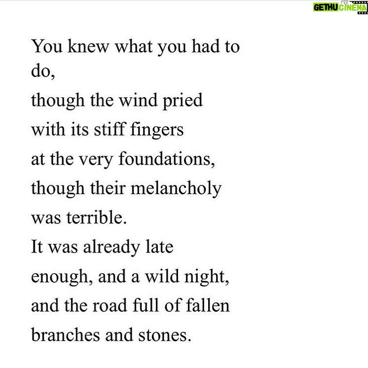 Dilshad Vadsaria - 192 Likes - To every incredibly brave, strong, scared but resilient woman out there. ❤️ to you.
#happyinternationalwomensday #maryoliver
#repost @oliviawilde