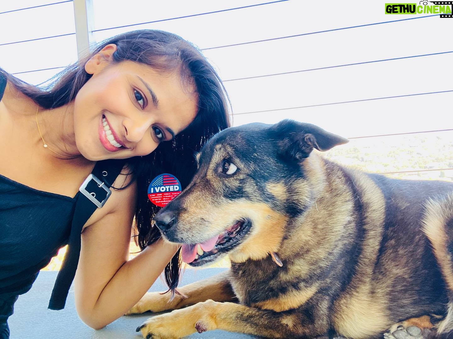 Dilshad Vadsaria - 1.4K Likes - Todayās the last day to vote in the CA election. Local elections matter. A. Lot!
P.S. Yes Gabi is freaked out. Sheās always freaked out.
P.P.S Thank you for all the birthday wishes. I see them. You rock. ā¤ļø
#vote