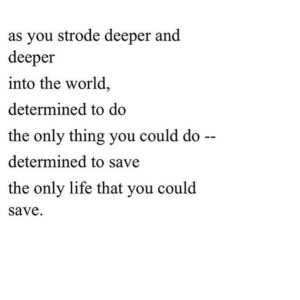 Dilshad Vadsaria Instagram - To every incredibly brave, strong, scared but resilient woman out there. ❤️ to you. 
#happyinternationalwomensday #maryoliver 
#repost @oliviawilde