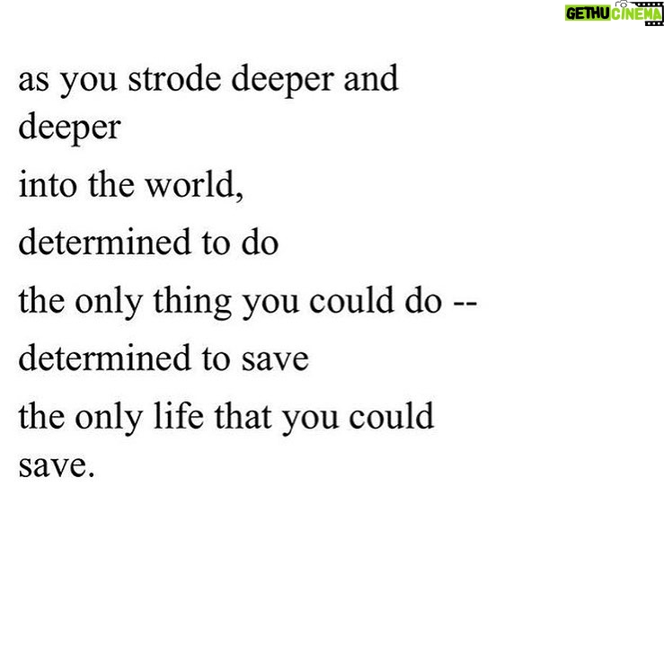 Dilshad Vadsaria - 192 Likes - To every incredibly brave, strong, scared but resilient woman out there. ❤️ to you.
#happyinternationalwomensday #maryoliver
#repost @oliviawilde