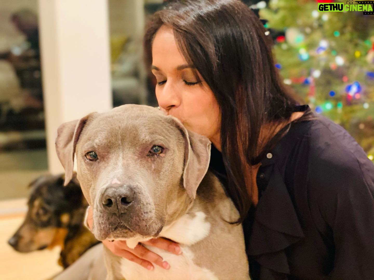 Dilshad Vadsaria - 816 Likes - Sending kisses. Happy New Year everyone.
❤️
As we enter 2021, I wish for each of you joy, ❤️ & happiness. We’re coming off of a tough road with a little more to go. Let’s do so with grace & gratitude, keeping in our hearts those who have been lost & those who are on the frontlines selflessly protecting others.
❤️
As always, thank you for your love and support, to this late to the game social media bloomer. 😘