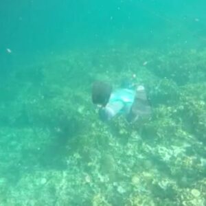 Dimas Aditya Instagram - Pahawang photo dump 2.

Pantai di pulau sekitarnya cocok buat ngelatih sensory anak karena pasirnya lembut dan cukup bersih. Kalo buat snorkling/diving site sebenernya bagus, tapi sayang sering ketemu spot yang rusak dan sampah. Cuma buatku tetep sangat menyenangkan karena aku suka laut. Dari berempat yang snorkling, ujung-ujungnya cuma sendirian aja (seperti biasa) haha.. untung ditemenin @gass_nusantara yang sabar nungguin saya berenang ke sana ke mari, minta cariin spot bagus lainnya. 
Overall, visit Pahawang oke juga gaes buat hilang hiling.. udah makin mudah terjangkau apalagi sejak tol Sumatera jadi.