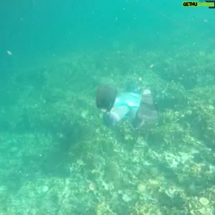 Dimas Aditya - 2.3K Likes - Pahawang photo dump 2.
Pantai di pulau sekitarnya cocok buat ngelatih sensory anak karena pasirnya lembut dan cukup bersih. Kalo buat snorkling/diving site sebenernya bagus, tapi sayang sering ketemu spot yang rusak dan sampah. Cuma buatku tetep sangat menyenangkan karena aku suka laut. Dari berempat yang snorkling, ujung-ujungnya cuma sendirian aja (seperti biasa) haha.. untung ditemenin @gass_nusantara yang sabar nungguin saya berenang ke sana ke mari, minta cariin spot bagus lainnya.
Overall, visit Pahawang oke juga gaes buat hilang hiling.. udah makin mudah terjangkau apalagi sejak tol Sumatera jadi.