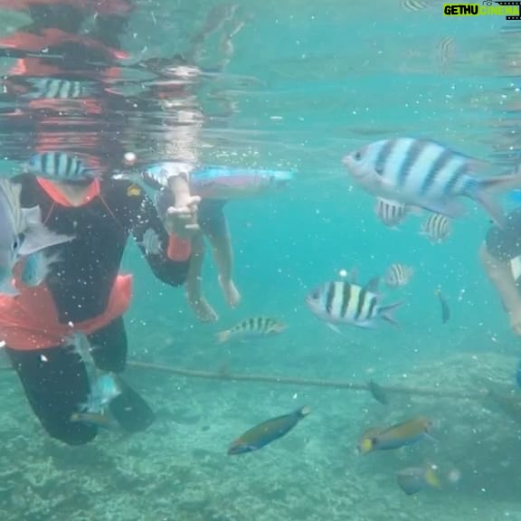 Dimas Aditya - 2.3K Likes - Pahawang photo dump 2.
Pantai di pulau sekitarnya cocok buat ngelatih sensory anak karena pasirnya lembut dan cukup bersih. Kalo buat snorkling/diving site sebenernya bagus, tapi sayang sering ketemu spot yang rusak dan sampah. Cuma buatku tetep sangat menyenangkan karena aku suka laut. Dari berempat yang snorkling, ujung-ujungnya cuma sendirian aja (seperti biasa) haha.. untung ditemenin @gass_nusantara yang sabar nungguin saya berenang ke sana ke mari, minta cariin spot bagus lainnya.
Overall, visit Pahawang oke juga gaes buat hilang hiling.. udah makin mudah terjangkau apalagi sejak tol Sumatera jadi.