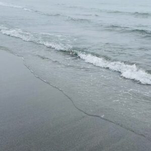 Dmitriy Shepelev Instagram - Наверное, только вернувшись домой после путешествия на Шантарские острова в Охотском море, я в полной мере ощутил, как по горло переполнен эмоциями.

А еще испытываю неподдельную гордость, что посчастливилось побывать в одном тех из труднодоступных мест планеты, где за год удается оказаться всего нескольким сотням людей со всего мира. 

Непередаваемо красиво! Чистый восторг. Я очень благодарен за эту возможность.

Сохранил все сторис в хайлайтс для вас.
