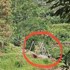 Dodit Mulyanto Instagram - Menanti pembangunan rumah kucingku yang aku bikin di rumah hutan 😍

#meong 🐈‍⬛🐈