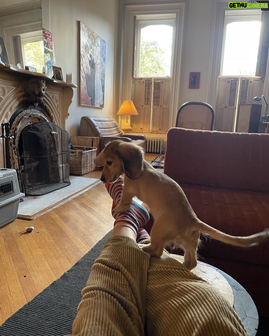 Dolly Wells - 1.2K Likes - A year ago today. Morris flew in from Indiana. ❤️