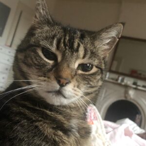 Dolly Wells Instagram - Quite a lot of close up scrutiny first thing in the morning.