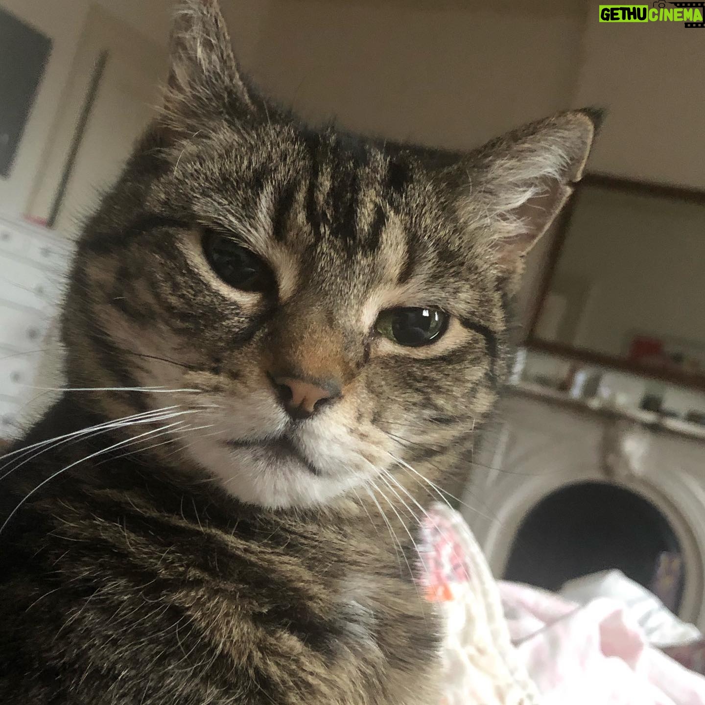 Dolly Wells - 1.1K Likes - Quite a lot of close up scrutiny first thing in the morning.