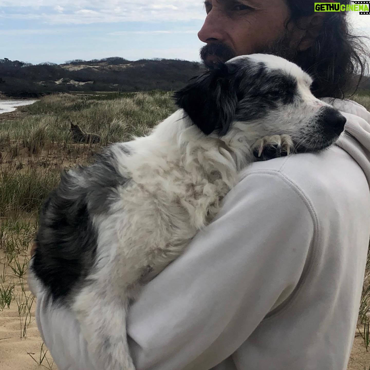 Dolly Wells - 1.2K Likes - Happy Birthday Old Man of the Sea. We love love love you 🥳👑🧜🏻♂️🦑🌊❤️ #spotthecoyote