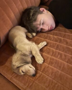 Dolly Wells Instagram - Happy 17th birthday dearest Ez. Love you very very very much indeed. ❤️❤️🎂🎂✨✨🥳🥳🥳🥳😍😍