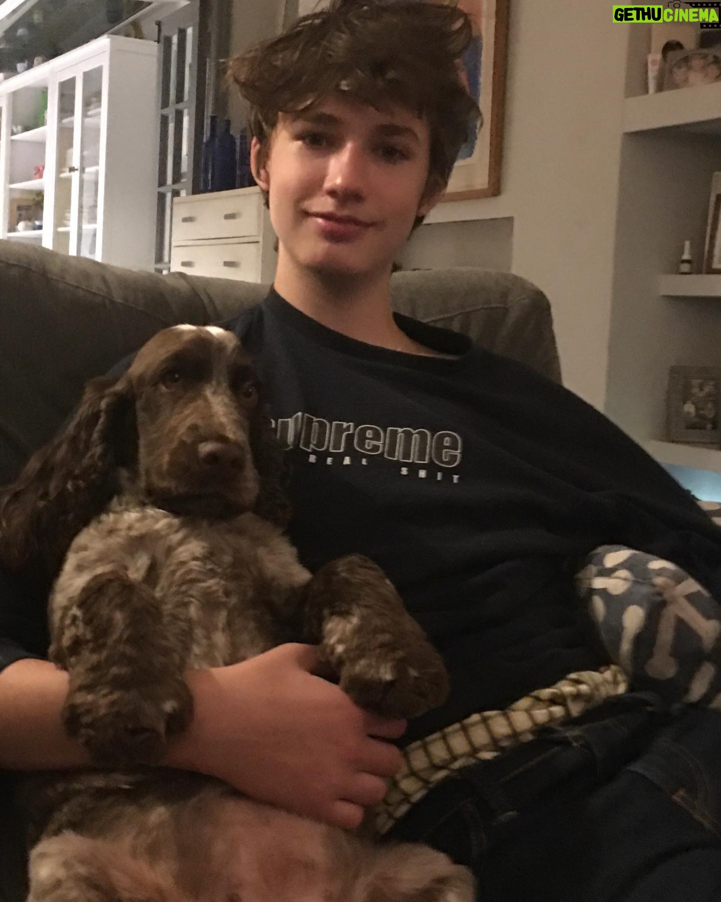 Dolly Wells - 1.3K Likes - Love this photo. LOVE this boy. Think late again but happy National son day @ezra.richter (😘😘@edie_aitchison owner of Mabel! Xxx)