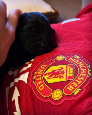 Dominic Monaghan Instagram - Start them young. @manchesterunited