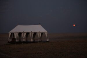 Don Cheadle Instagram - i wanna go back to botswana ...